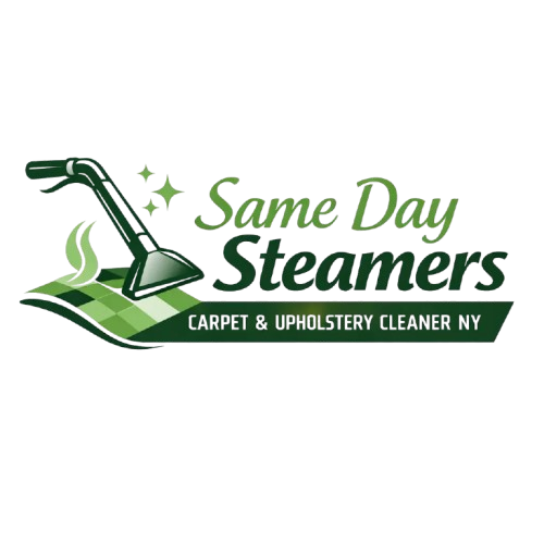Same Day Steamers Carpet and Upholstery Cleaning